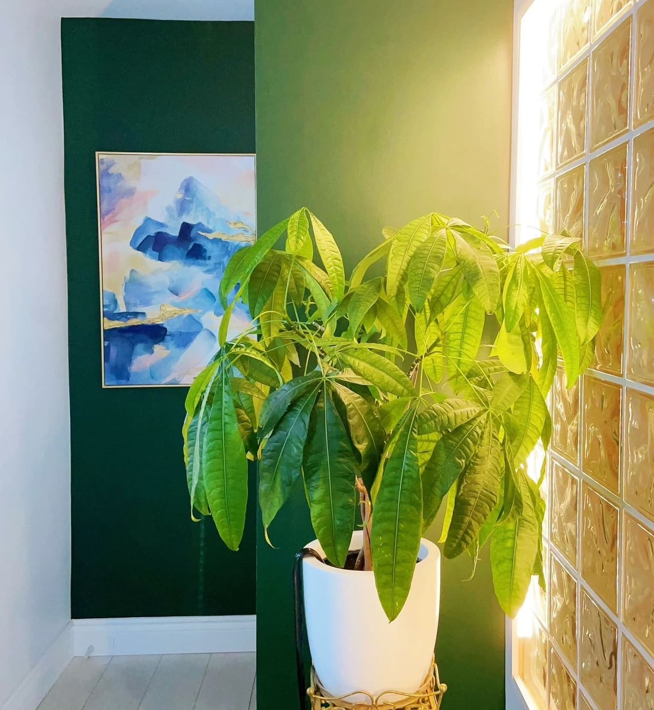 A vibrant plant under sunshine taken in SPA OJAS